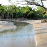 sundarban tour packages