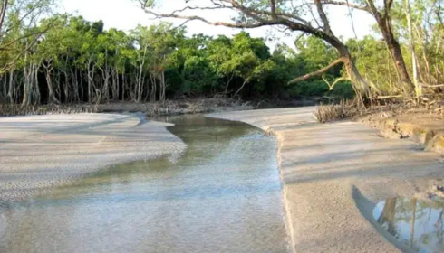 sundarban tour packages