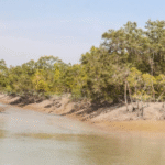 sundarban west Bengal tourism