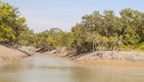 sundarban west Bengal tourism