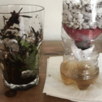 diy water filter for drinking