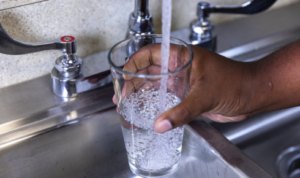 bacteria in water