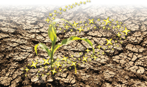 chelated micronutrients